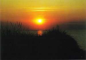 Grukarte 03 Friedenswunsch