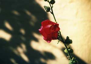 Grukarte 09 Licht und Schatten