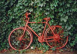 Grusskarte 17 Fahrrad