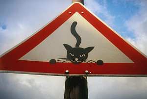 Grusskarte 26 Lachende Katze