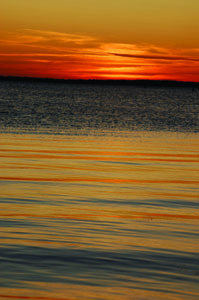 Stille