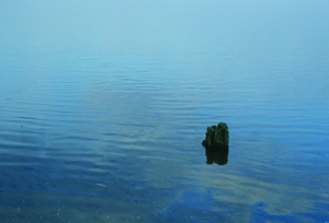 tranquility
