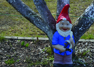 Gartenzwerg