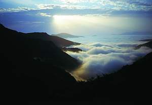 Nebel