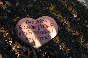 Vernunft des Herzens