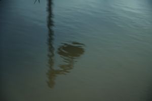 Wasserimpressionen 2