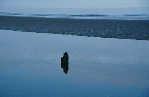 sea of tranquility