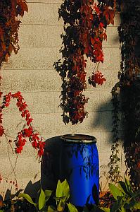 Herbstfarben