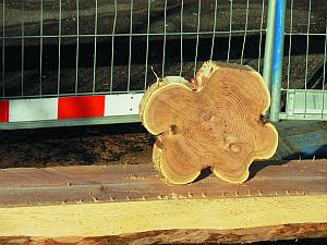 Hallo Kleeblatt aus Holz