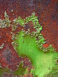 Rostlandschaft