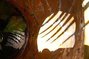 Versteck Spieglung im Wasserkrug