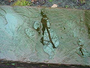 versteckt Spiegelung in Wasserpftze